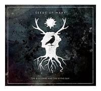 Seeds of mary - The blackbird and the dying sun