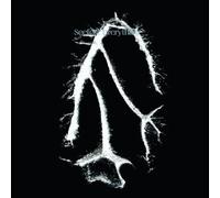 Seefeel - Everything Squared