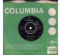 Seekers - SEEKERS A World of our Own/Sinner Man UK 7" 45