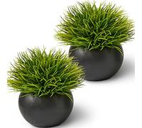 SEEKO - Plantas Artificiales para decoración del hogar (Paquete de 2) decoración de baño, decoración de estantes, decoración de Oficina, decoración Masculina, Plantas Artificiales en Maceta para