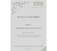 Seelenmedizin: Band 4 - Praxisleitfaden - Heilung auf der Verbindungsebene von Seele, Geist und Körper