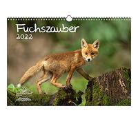 Seelenzauber K2022-3W-00032-D-0 Fox Magic - Calendario DIN A3 para zorros y zorros 2022
