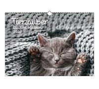 Seelenzauber K2022-3W-00046-D-0 Animal Magic Divertido Gatos DIN A3 Calendario para 2022 Gatos divertidos - Soul Magic