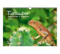 Seelenzauber K2022-3W-00053-D-0 Animal Magic Anfibios y Reptiles - Calendario DIN A3 para 2022