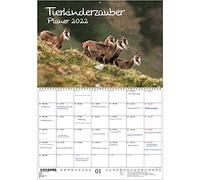 Seelenzauber KX2022-3W-00040-D-0 Animal Magic Planner DIN A2 abierto - Calendario para 2022 Bebés y Bebés Animales - Soul Magic