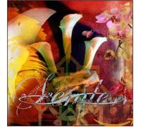 Seemless - What Have We Become