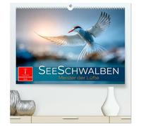 Seeschwalben - Meister der Lüfte (hochwertiger Premium Wandkalender 2026 DIN A2 quer), Kunstdruck in Hochglanz: Zwischen Himmel und Meer - wild und frei.