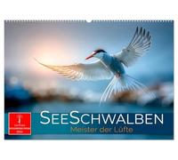 Seeschwalben - Meister der Lüfte (Wandkalender 2026 DIN A2 quer), CALVENDO Monatskalender: Zwischen Himmel und Meer - wild und frei.