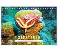 Seesterne - Kleine Wunder der Natur (Tischkalender 2026 DIN A5 quer), CALVENDO Monatskalender: Asteroidea - Sterne unter Wasser