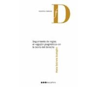 Seguimiento De Reglas: El Aguijon Pragmatico En La Teoria Del Derecho