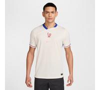 Segunda equipación Stadium FFF 2025 (selección femenina) Camiseta de fútbol Replica Nike Dri-FIT - Hombre - Marrón XXL