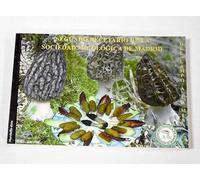 Segundo Recetario De La Sociedad Micológica De Madrid