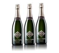 Segura Viudas Cava Brut Reserva, 3 x 750 ml, total 2250 ml