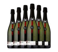 Segura Viudas Lavit Brut Nature Cava Reserva 75 cl Espumoso blanco (Caja de 6 Botellas de 75 cl)