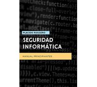 Seguridad Informática - Manual Principiantes: Un excelente manual para acercarse al mundo de la ciberseguridad personal: 1 (IT Security)