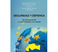 SEGURIDAD Y DEFENSA RELACIONES ENTRE LA UNION EUROPEA Y EL