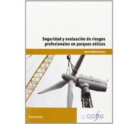 Seguridad y evaluación de riesgos profesionales en parques eólicos | Beatriz Molino Gonzalez