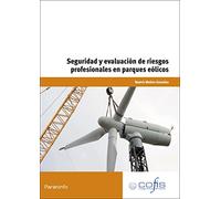 Seguridad y evaluación de riesgos profesionales en parques eólicos (Energía y Agua)
