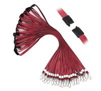 Segus Cuelga Llaves Cuello, 20 Piezas Cinta Cuello Llaves, Lanyards con Clip de Seguridad, para Entusiastas de las Actividades al Aire Libre (Rojo Jujube)