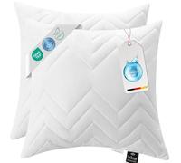 sei Design Juego de 2 Classic Dream Almohadas de Microfibra 50 x 50 cm, Blanco, Acolchado