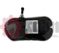 SEIM Aditivo, regeneración del filtro de hollín/partículas para CITROËN: DS3, C3, C2 & PEUGEOT: 1007 (Ref: 100168)