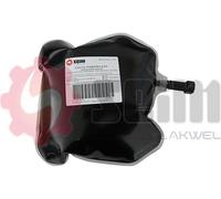 SEIM Aditivo, regeneración del filtro de hollín/partículas para PEUGEOT: 307, 3008, 308 & CITROËN: C4 (Ref: 100162)