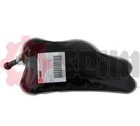 SEIM Aditivo, regeneración del filtro de hollín/partículas para PEUGEOT: Partner & CITROËN: Berlingo, C4 Picasso (Ref: 100161)