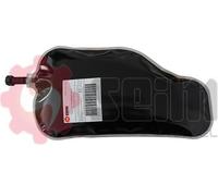 SEIM Aditivo, regeneración del filtro de hollín/partículas para PEUGEOT: Partner & CITROËN: Berlingo, C4 Picasso (Ref: 100163)