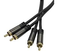 Seismic Audio - SA-2RM0210 - Cable de audio RCA macho a RCA macho de 2 canales de 10 pies para amplificadores, cine en casa, cable digital y analógico compatible