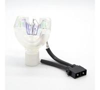 SeiZed Lámpara de proyector for TLPLW11 SHP99 for Toshiba TLP-X2000 X2500 X2500A XC2500 X2500U XC2000 XC2000U XC2500U XD2000 XD2000U WX2200