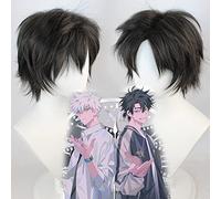 SEIZIS Cosplay Wig Anime Time Agent Cheng Hours Lu Guang cos Peluca Peluca Juvenil Pelo Negro Atado Plata Blanco Anti Warp White