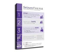 Seizure Awareness Poster Emergency Response Infographic for School Office Waiting Room(Framed,16x24inch(40x60cm))