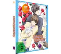 Sekaiichi Hatsukoi - The World's Greatest First Love - Vol. 1 [Alemania] [DVD]