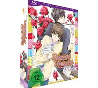 Sekaiichi Hatsukoi - The World's Greatest First Love - Vol. 1 - Limited Edition mit Sammelbox [Alemania] [Blu-ray]