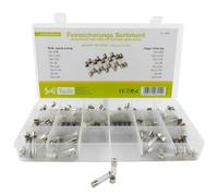 SeKi Fusible fino de 160 piezas, 6 x 30, surtido de 160 piezas, 16 tipos; 8 fusibles rápidos + 8 fusibles de 0,8 A, 1,25 A, 1,6 A, 2 A, 2,5 A, 3,15 A, 4 A y 6,3 A; fusible de tubo de vidrio; fusible
