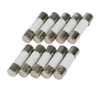SeKi - Lote de 10 fusibles cerámicos (1 A, 5 x 20 mm, inerte, 250 V)