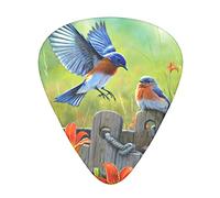 Selección de guitarrasEastern Blue bird Advanced guitar pick 12 pieces Three thicknesses for bass,electric guitar,acoustic guitar bag