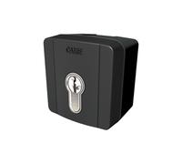 Selector de llave exterior CAME SELD1FAG 806SL-0090