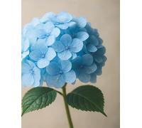 Self Care Planner - Blue Hydrangea Bloom: A mindful space to nurture your well-being, track your mood, and reflect with gratitude each day