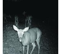 Self Defense Family - The Power Does Not Work In the Presence Of Nonbelievers [12" VINYL] [Vinilo]