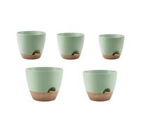 Self Watering Planter - 5 Pieces Cactus Orchid Pots with Saucers For Plant Care | ABS Construction with Bottom Watering Function, Container Set with Indoor and Outdoor Use, Garden