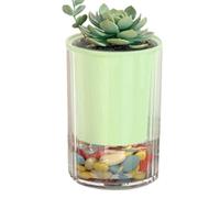 Self Watering Planter, Double Layer Flower Pot, Desktop Plant Container System, 3.94x2.76 Inches Smart Moisture Control Design, Minimal Garden Pot Style, Indoor Home Office Use