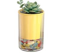 Self Watering Planter, Double Layer Plant Pot, Desktop Flower Container Set, Home Office Balcony Gardening Use, Indoor Plant Moisture Control Pot, Living Room Bedroom Decor Grow Kit 3.94x2.76 Inches