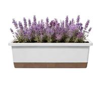 Self Watering Planter | PP, 43 x 18 x 15,5 cm, With Drainage Hole & Wick | Indoor Outdoor Window Box | Vegetable Herb Flower Pot For Balcony, Patio, Garden