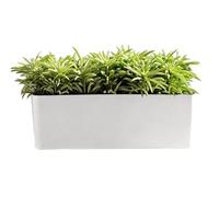 Self-Watering Window Box Planter with Water Level Indicator - Rectangular Herb Garden Pot For Windowsill & Balcony | Indoor/Outdoor Flower Box For Succulents, Vegetables & Herbs | White