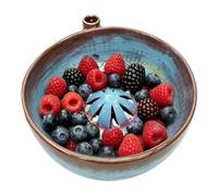 Self whirling Berry Washing Bowl With Drain Holes For Strawberries Berry