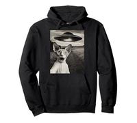 Selfie de Gato Sphynx con Barco alienígena secuestro OVNI Foto Retro Sudadera con Capucha