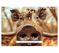 Selfie Shot (Desk Calendar 2026 DIN A5 landscape), CALVENDO 12 Month DeskCalendar: Funny Animals making a Selfie