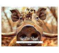 Selfie Shot (Wall Calendar 2026 DIN A3 landscape), CALVENDO 12 Month Wall Calendar: Funny Animals making a Selfie