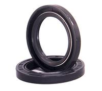 sello de aceite del esqueleto del sello de aceite, Anillo de retén aceite negro, diámetro interior 20-28 mm, TC/FB/TG4, junta doble labio NBR for eje rotación(22x45x10mm 2Pcs)